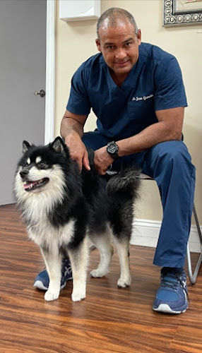 quiropractico Coral Gables